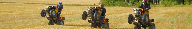 Renegade